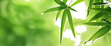 竹刷子